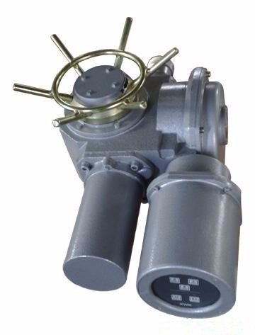 一体化阀门电装DZW20-24-A00-WK